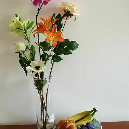 Alojamento de Acomodação e Pequeno-almoço Venice Garden 5*