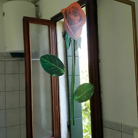 Bed and Breakfast Venice Garden 5*
