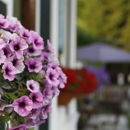 Bed and Breakfast Venice Garden 5*
