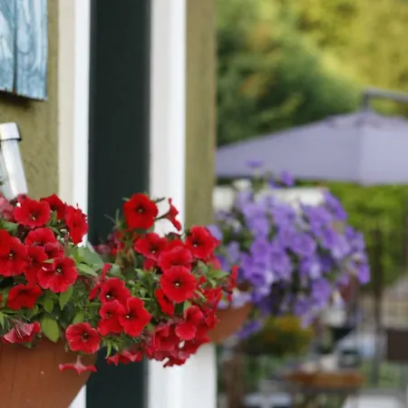 Venice Garden Bed and Breakfast Μέστρε